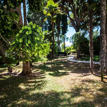 Calme Absolu, élégant Et Arboré Avec Piscine Cannes