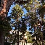 Calme Absolu, Elegant Et Arbore Avec Piscine Apartment Cannes